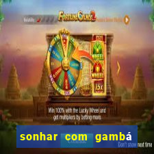 sonhar com gambá jogo do bicho